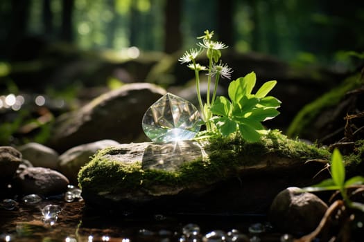 White flowers on moss in the rays of the sun against the background of a blurred spring forest. Magic forest.