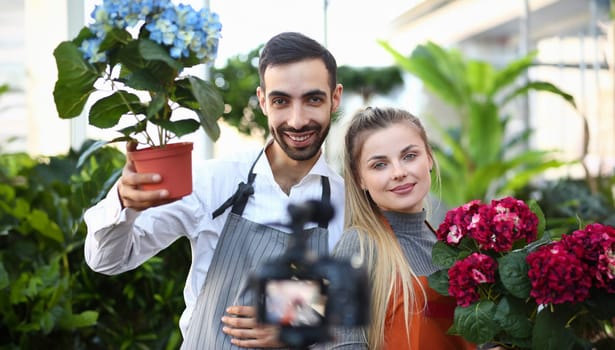 Vlogger Gardener Showing Camera Hortensia Flower. Woman and Man Florist Recording Blue and Red Hydrangea Flower to Camera for Domestic Plants Vlog. Man and Woman Holding Flowerpot with Blooming Flora