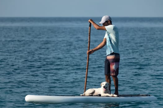 guy on a sup board with a paddle with a dog stands on the sea in summer, Stand Up Paddle