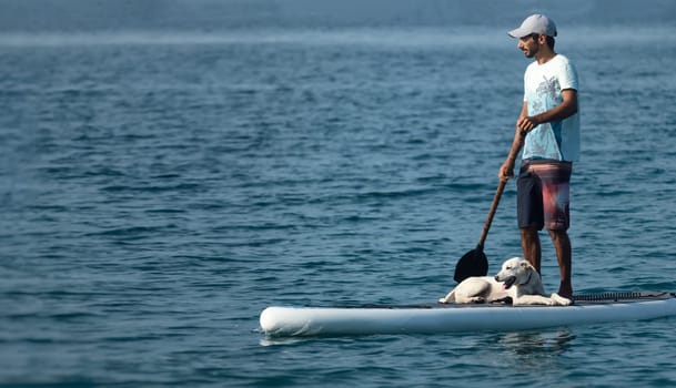 guy on a sup board with a paddle with a dog stands on the sea in summer, Stand Up Paddle