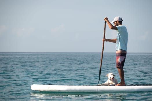 guy on a sup board with a paddle with a dog stands on the sea in summer, Stand Up Paddle