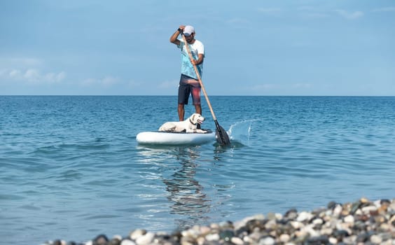 guy on a sup board with a paddle with a dog stands on the sea in summer, Stand Up Paddle