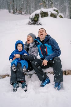 Mom, dad and a little girl are sitting on a log in the forest under a snowfall and catching snowflakes in their mouths. High quality photo