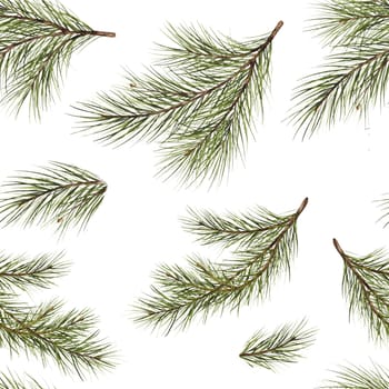 seamless pattern. Pine branch watercolor isolated illustration. green natural forest christmas tree. needles branches greenery hand drawn. holiday decor with fir branch. holiday celebration new year.