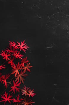 A branch with red autumn leaves on a black board. Vertical image with copy space