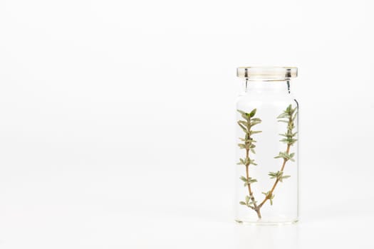close-up of a glass jar with sprigs of fresh thyme isolated on a white background