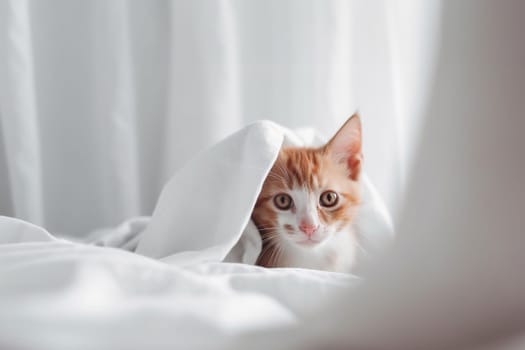 Cute domestic red cat awaking and lying on a bed under a white blanket in the bedroom with copy space. Generative AI