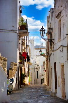 A cobblestone street lined with potted plants. A charming street in Ostuni, Italy, adorned with potted plants and cobblestone paving