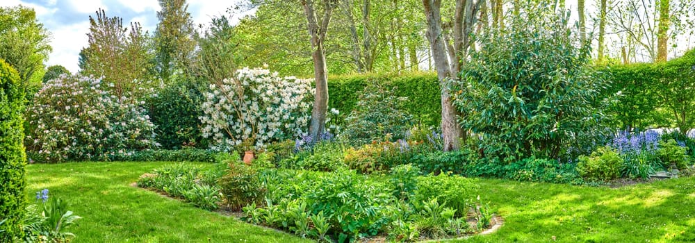 Landscape of a beautiful garden with manicured lawn and various flowering plants growing on a sunny day outdoors in spring. Vibrant landscaped backyard with overgrown shrubs and flowers.