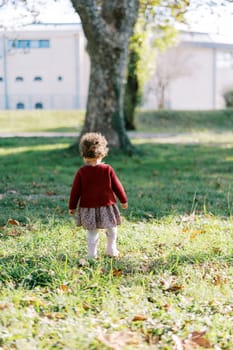 Little girl walks through the autumn park to a tree. Back view. High quality photo