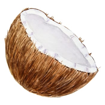 Half a broken coconut. Tropical botanical hand drawn watercolor illustration isolated on white. Exotic objects for travel, spa, relax, beauty business designs and prints. Good for cooking book, menu, invitations.