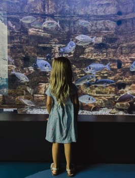 Little girl examines the fish swimming in an aquarium against the background of a stone wall. High quality photo