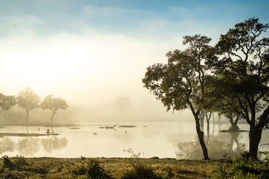 Savannah pond in the morning fog in Kruger National Park, South Africa. High quality photo