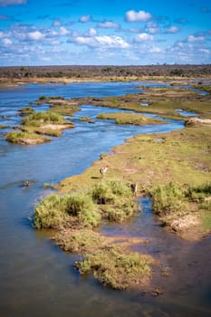 Savannah river in Kruger National Park, South Africa. High quality photo