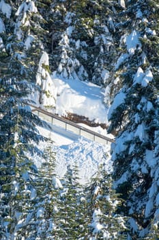 VIew on uphill trail among the trees on bright winter day