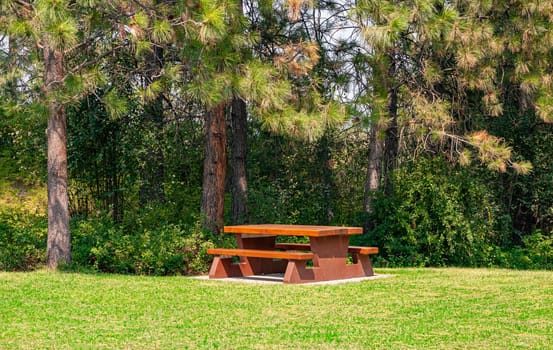 Rest area with wooden table on hike route in shadow of the trees