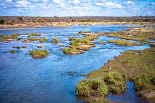 Savannah river in Kruger National Park, South Africa. High quality photo