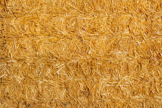 Golden straw stack tightened with straps. Texture background of yellow straw bale