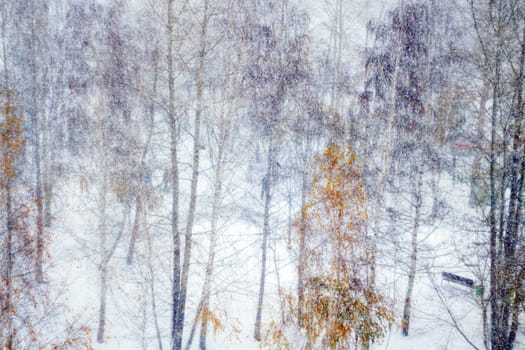 Winter city forest, snowfall, defocusing, abstraction selective focus Winter season