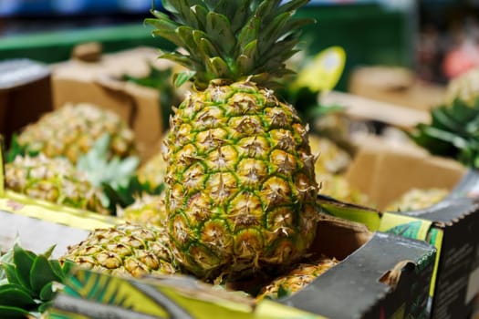 Lots of pineapple fruits. Wholesale and retail trade in exotic fruits. Selective focus