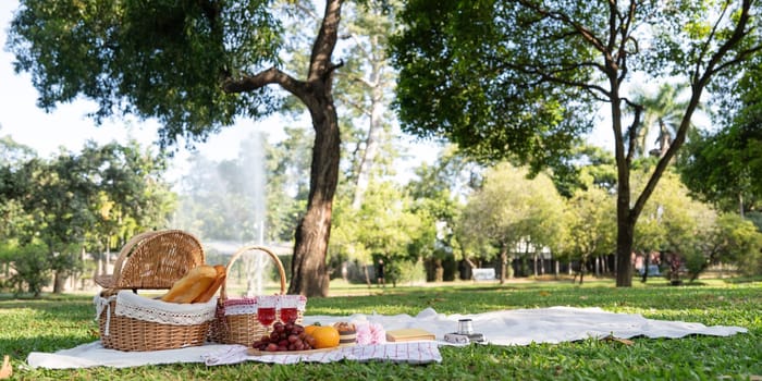 Picnic on the meadow in park. Concept of leisure and family weekend.