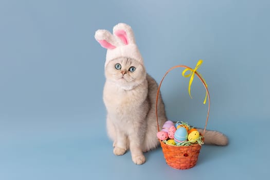 Adorable white cat in hat with bunny ears and Easter basket with colorful eggs, sits on blue background. Copy space