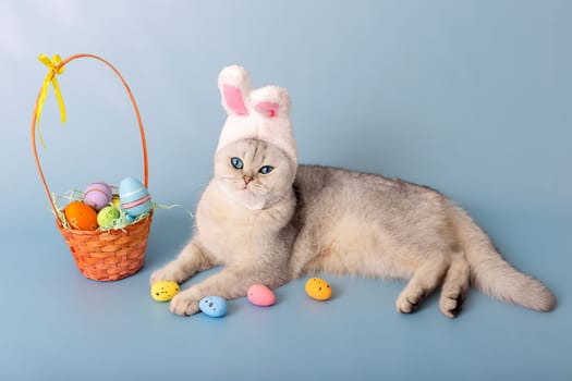 Funny white cat in hat with bunny ears and Easter basket with colorful eggs, lie on blue background.
