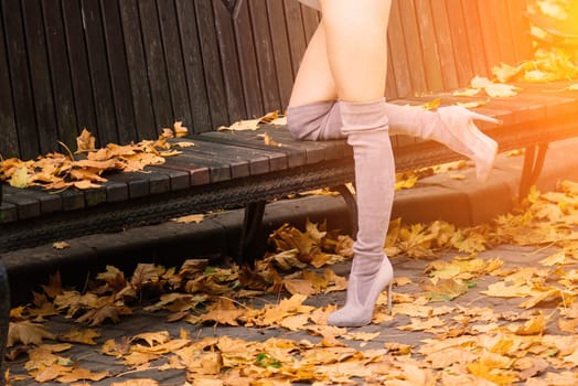 Fashion image of perfect long slim woman legs in an autumn park.