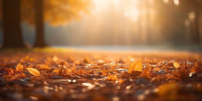 Autumn forest path. Orange color tree, red brown maple leaves in fall city park. Japanese culture. Generative Ai.