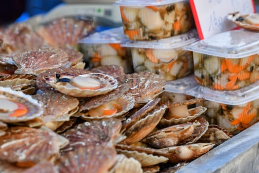 Fresh french scallops on a seafood market at Dieppe France