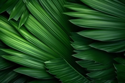 flower floral close-up palm forest design leaf background green tropical summer tree monstera green art tropic colourful bright leaf jungle nature closeup. Generative AI.
