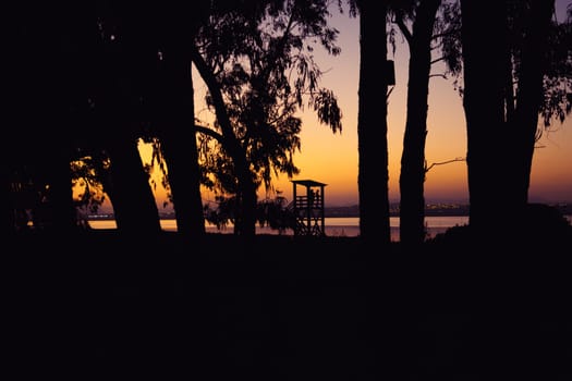 Photo of a beautiful sunset against the backdrop of trees and a lake. There is a place for an inscription. Beautiful photo of nature at sunset. High quality photo