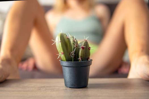 Concept of depilation in the bikini area. close-up of a cactus, a girl in green panties lies on the sofa. High quality photo