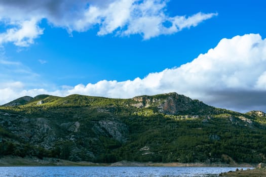 view from the mountain to the sea, around the green pines on the mountain. Beautiful landscape near the sea. High quality photo