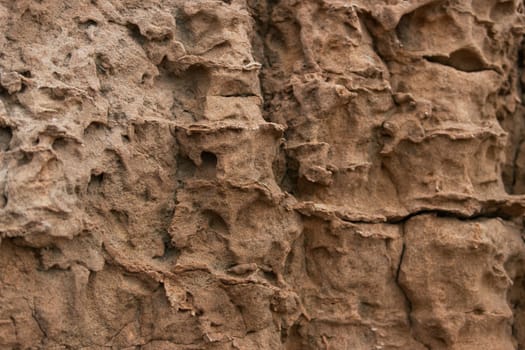 rock close-up plant, yellow stone texture close-up,. High quality photo