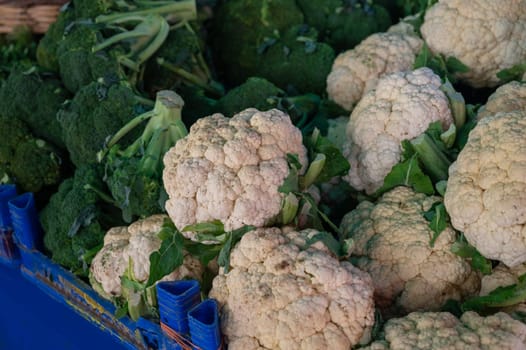 Cauliflower sale in the traditional farm Turkish market, a counter filled with fresh fruits