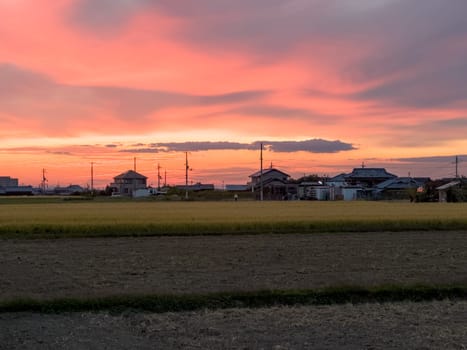 Beautiful sunset color in glowing sky over rice fields and Japanese homes. High quality photo