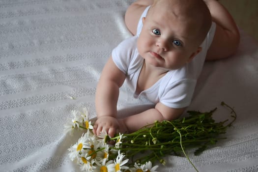 Children concept. A baby with blue eyes, in a white bodysuit, lies on a table on a beige blanket and tightly holds a daisy flower in his hand. looks at the camera. Close-up. Soft focus.