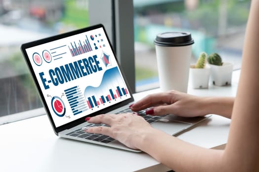 E-commerce data software provide modish dashboard for sale analysis to the online retail business