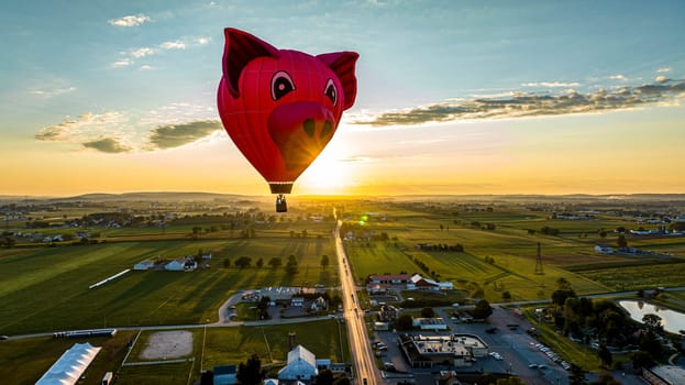 Bird in Hand, Pennsylvania, September 14, 2023 - An Aerial View of a Pig Head Hot Air Balloon, Floating Over Pennsylvania Farmlands at Sunrise, on a Summer Day