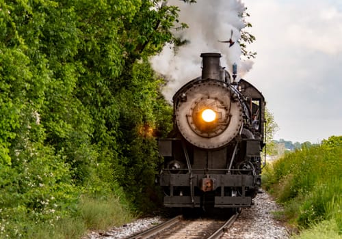 A Head On Shot of a Steam Engine Approaching Blowing Smoke Catching a Bird by Surprise on a Spring Day