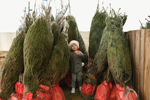 A boy chooses a christmas tree at a shop