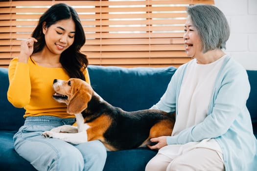 A happy young woman and her mother bond with their Beagle dog on the sofa, illustrating the warmth and support that define their family. Their smiles radiate joy and togetherness.