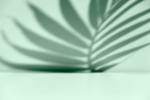 Palm leaf shadow overlay. Minimalist shadow overlay for product