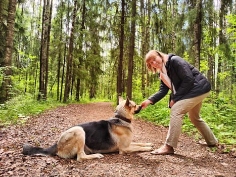 The girl or woman trains German Shepherd dog in spring, summer, and autumn forest. Walk and work with the dog