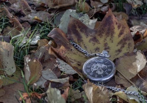 Vintage pocket watch lies on dry yellow leaf and green grass background in autumn fall on ground with sun light. Past time concept, Space for text, Selective focus.