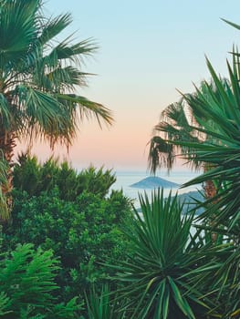 vertical close-up photo of green palm trees against the backdrop of the sea and islands at sunset. summer holiday or beach holiday concept. summer card. soft focus.