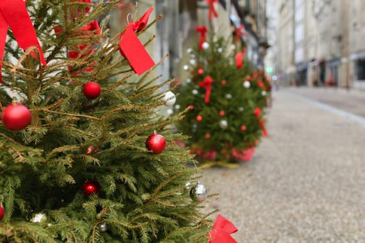 Decorated Christmas trees near shops in the city