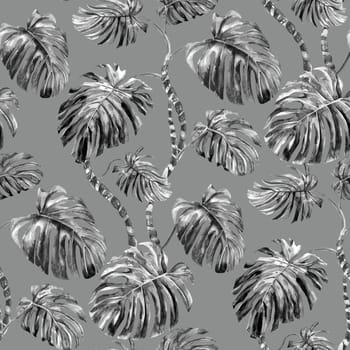 Seamless pattern in monochrome shades with monstera flower painted in watercolor in black and white for prints and textile design