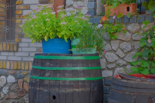 A vintage wooden barrel with flowers in metal buckets. Old wine cellar walls. The concept of traditional winemaking and modern tourism.